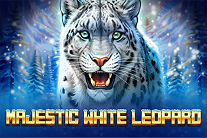Majestic White Leopard