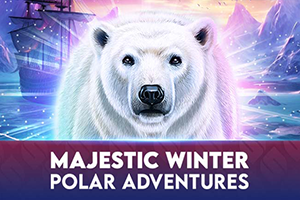 Majestic Winter - Polar Adventures