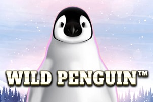 Wild Penguin