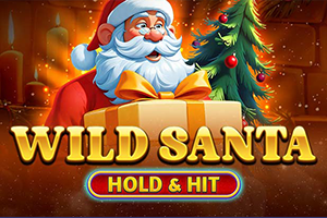 Wild Santa - Hold & Hit