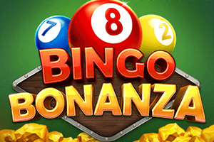 Bingo Bonanza